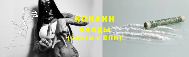 соль курить ск Няндома