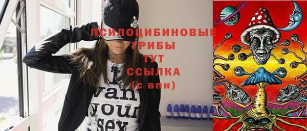 spice Нягань