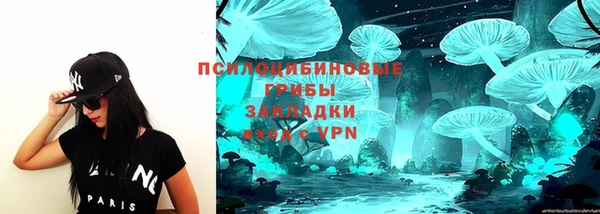 соль курить ск Няндома