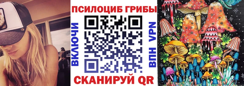 Псилоцибиновые грибы Cubensis  это телеграм  Североуральск  купить  цена 