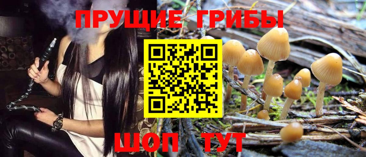 Галлюциногенные грибы прущие грибы Североуральск