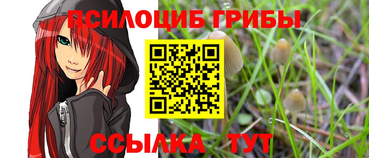 Галлюциногенные грибы Psilocybine cubensis Североуральск