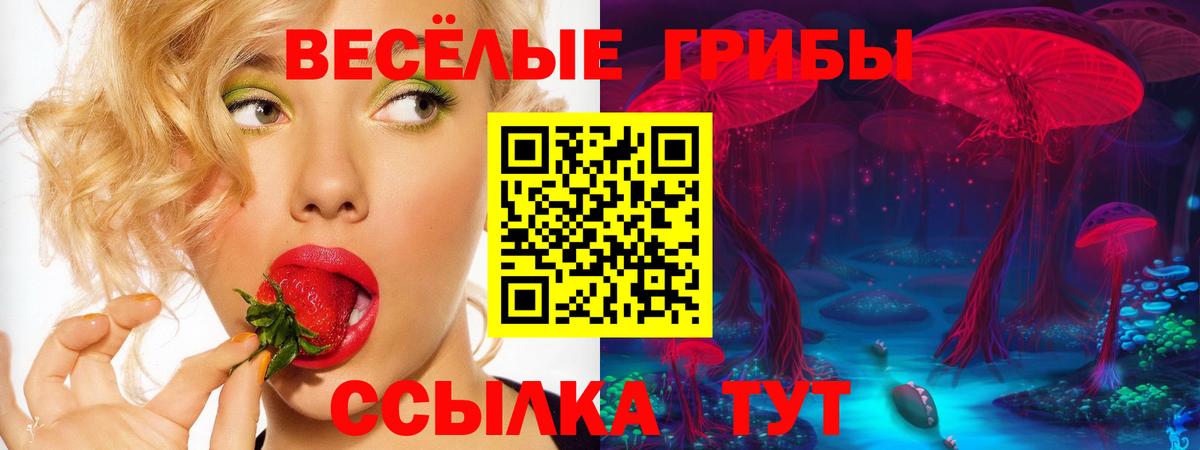 Псилоцибиновые грибы ЛСД  Галлюциногенные грибы Cubensis  Вход с VPN  Североуральск 
